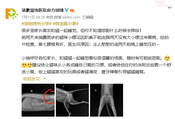 喜欢和宠物一起睡觉的铲屎官们，睡前请做好这些功课